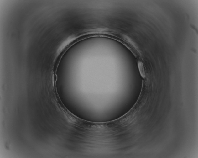 X0000093621320200710151033