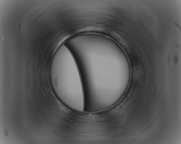 X0000093621321200710151033