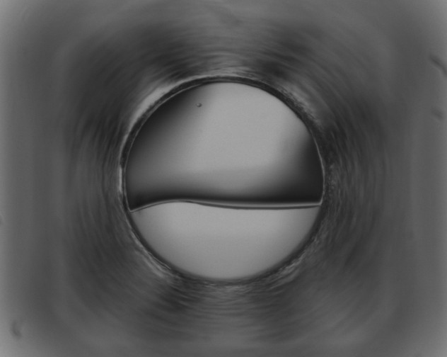 X0000093621324200710151033