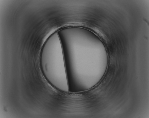 X0000093621325200710151033