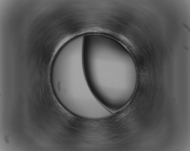 X0000093621326200710151033