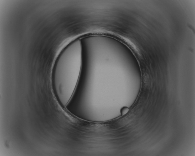 X0000093621327200710151033