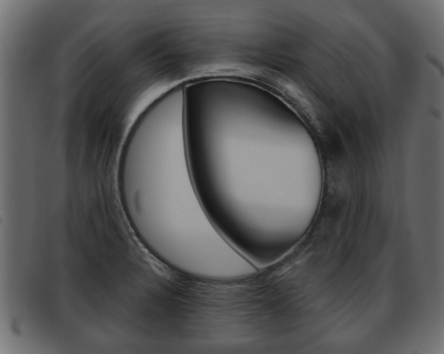 X0000093621328200710151033