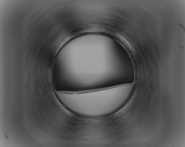 X0000093621329200710151033