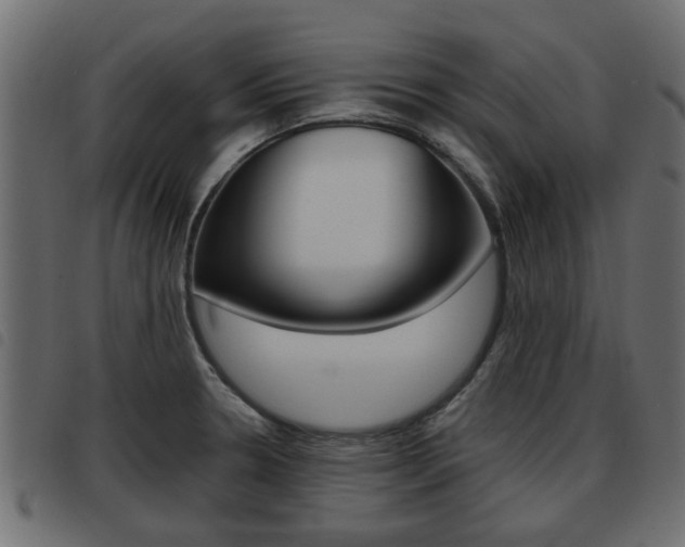 X0000093621330200710151033