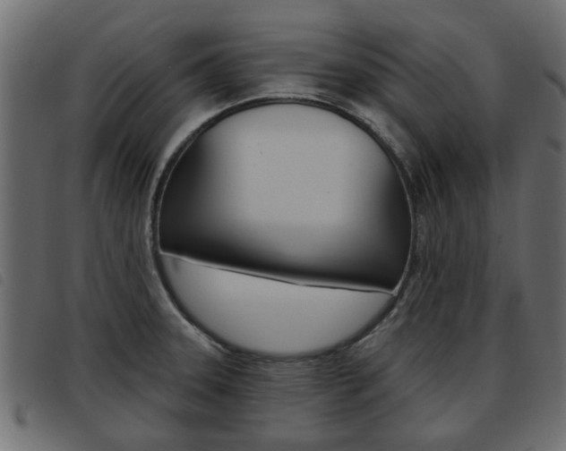 X0000093621331200710151033