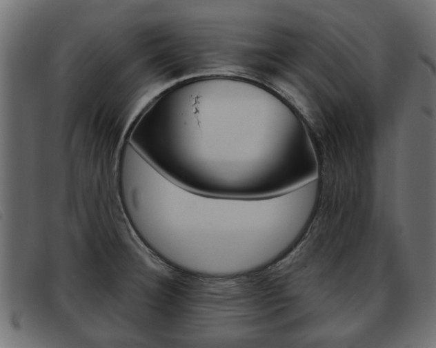 X0000093621332200710151033