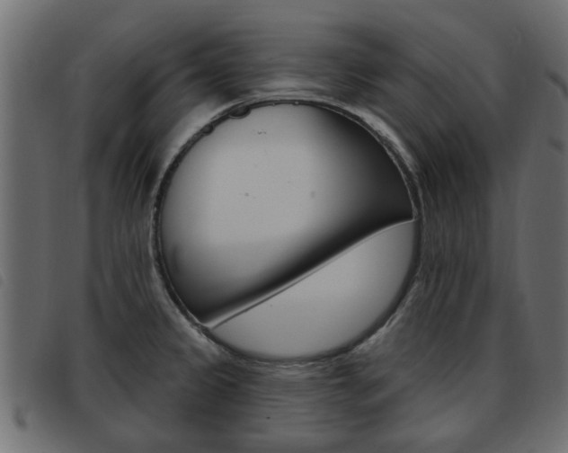 X0000093621333200710151033