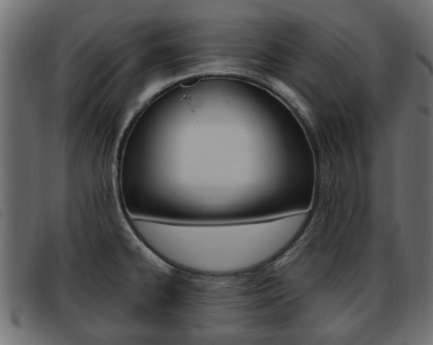 X0000093621334200710151033