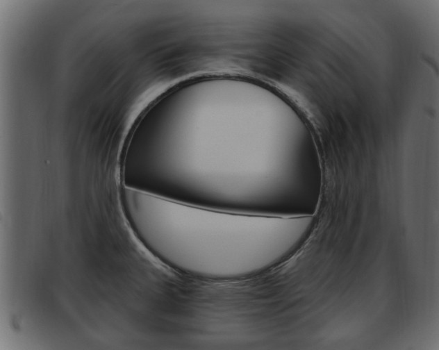 X0000093621335200710151033