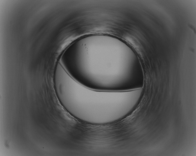 X0000093621336200710151033