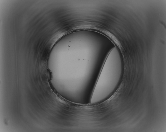 X0000093621337200710151033