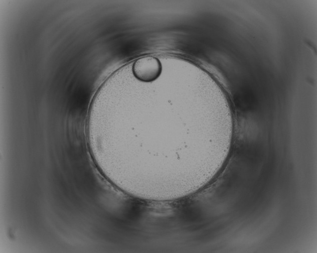 X0000093621338200710151033