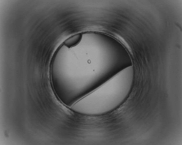 X0000093621339200710151033
