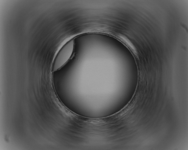 X0000093621340200710151033