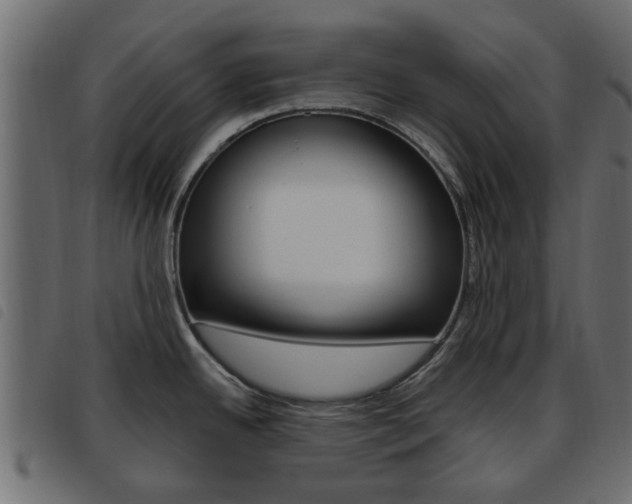X0000093621342200710151033