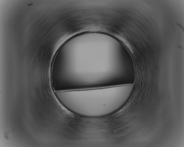X0000093621343200710151033