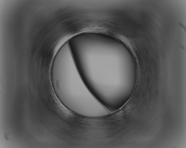 X0000093621344200710151033