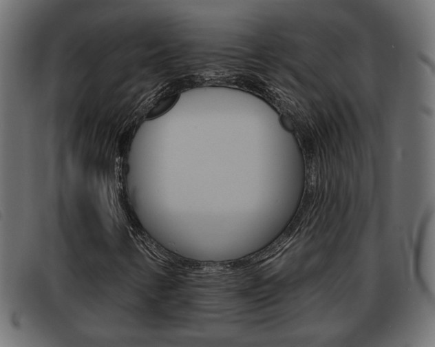 X0000093621346200710151032