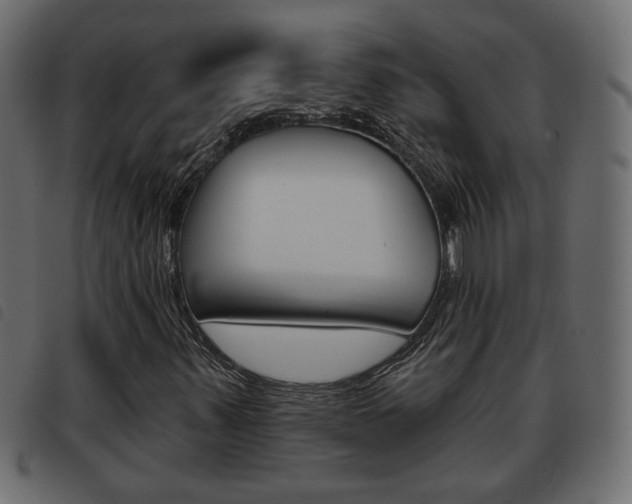 X0000093621347200710151032
