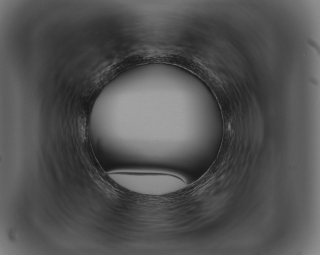 X0000093621348200710151032