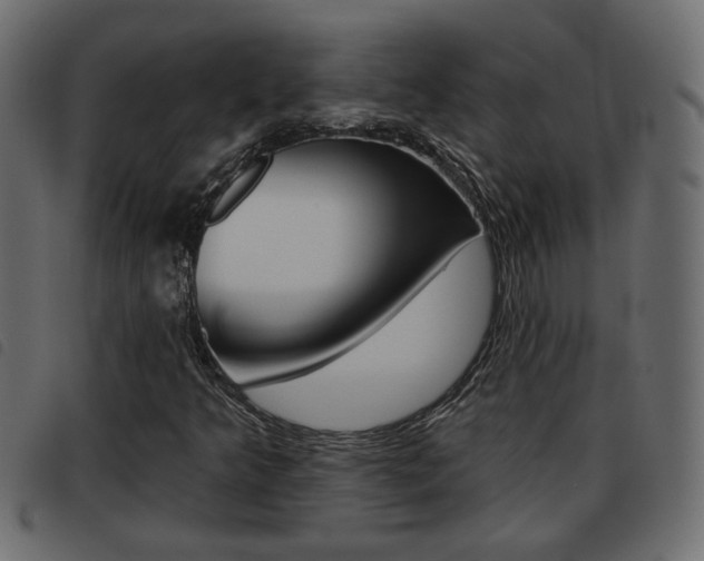 X0000093621349200710151032
