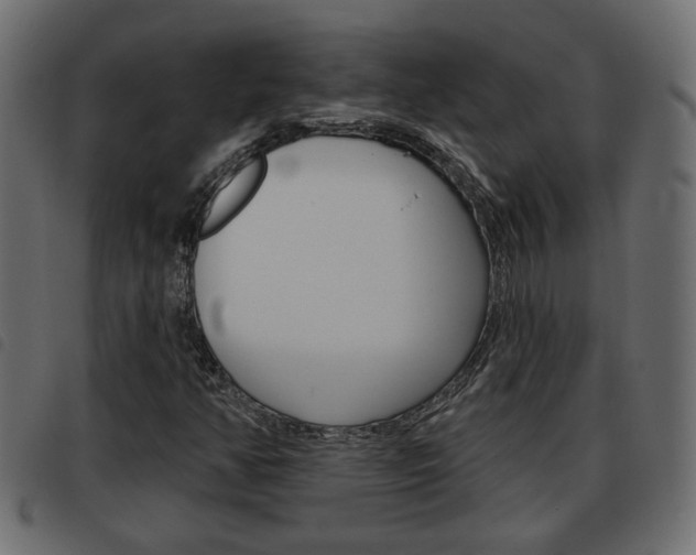 X0000093621350200710151032
