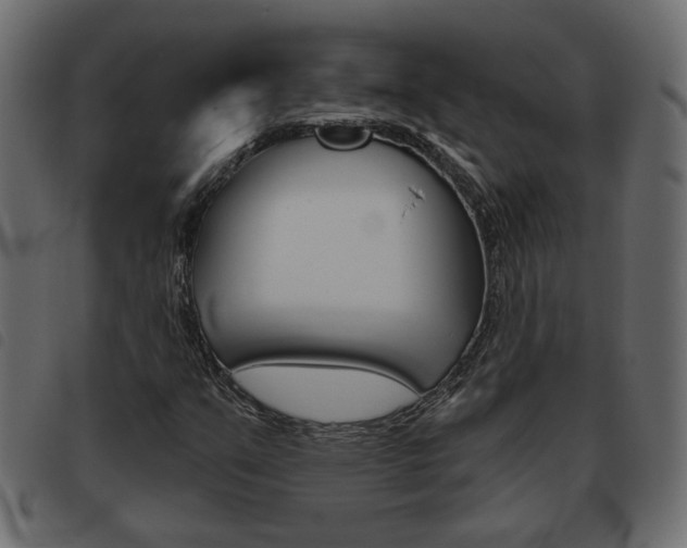X0000093621351200710151032