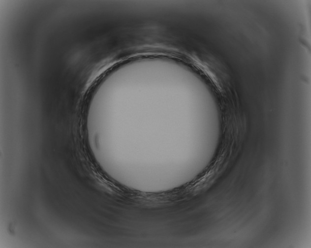 X0000093621352200710151032