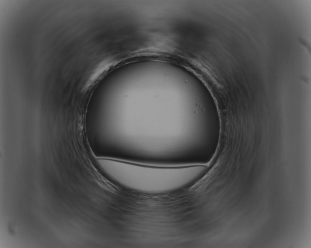 X0000093621355200710151032