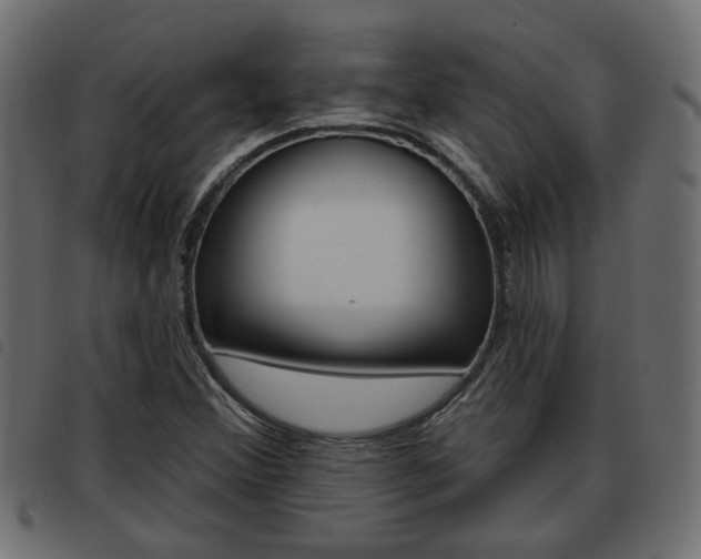 X0000093621356200710151032