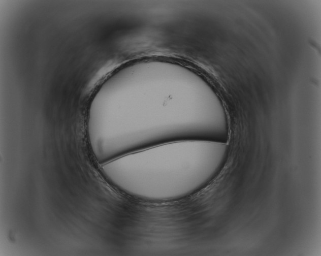 X0000093621359200710151032