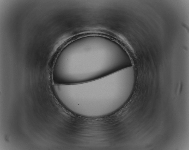 X0000093621360200710151032