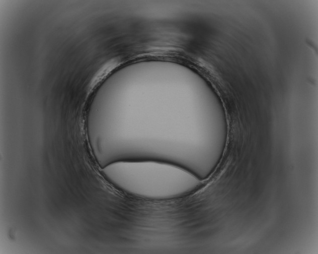 X0000093621362200710151032