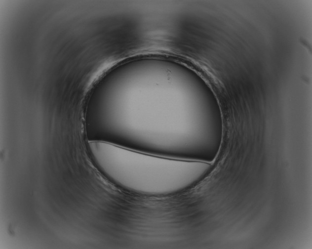 X0000093621363200710151032