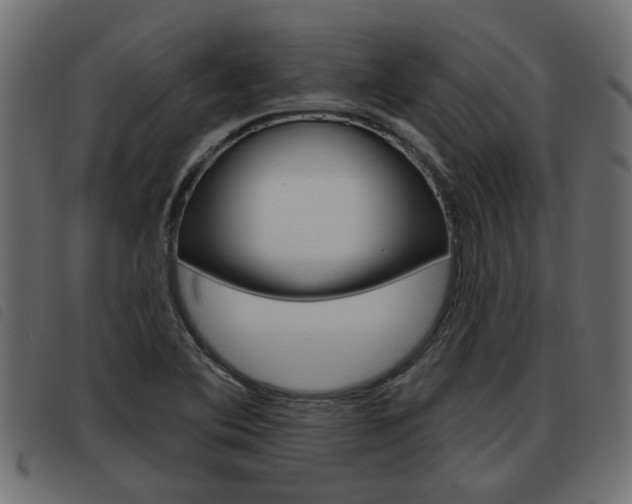 X0000093621364200710151032