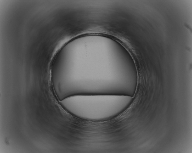 X0000093621366200710151032