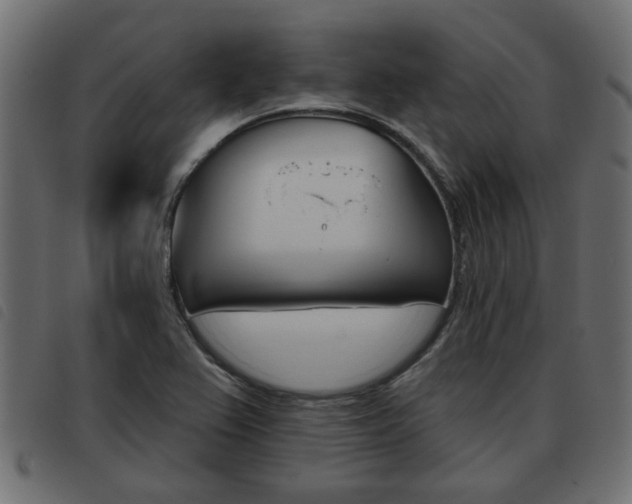 X0000093621367200710151032
