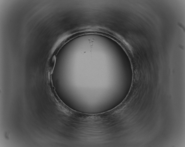 X0000093621368200710151032