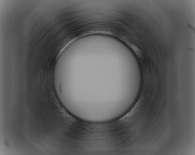 X0000093621369200710151032