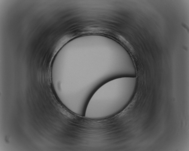 X0000093621370200710151032