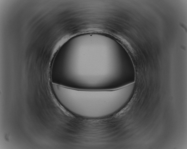 X0000093621373200710151032