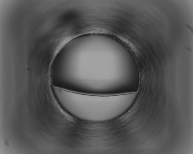 X0000093621375200710151032