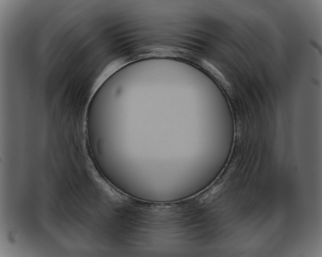 X0000093621378200710151032