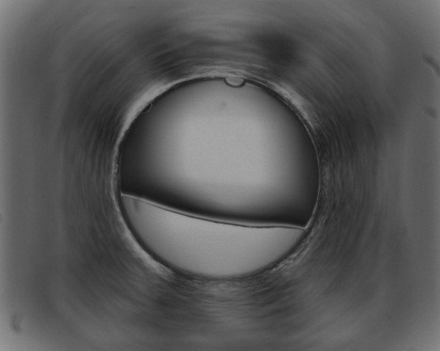 X0000093621379200710151032