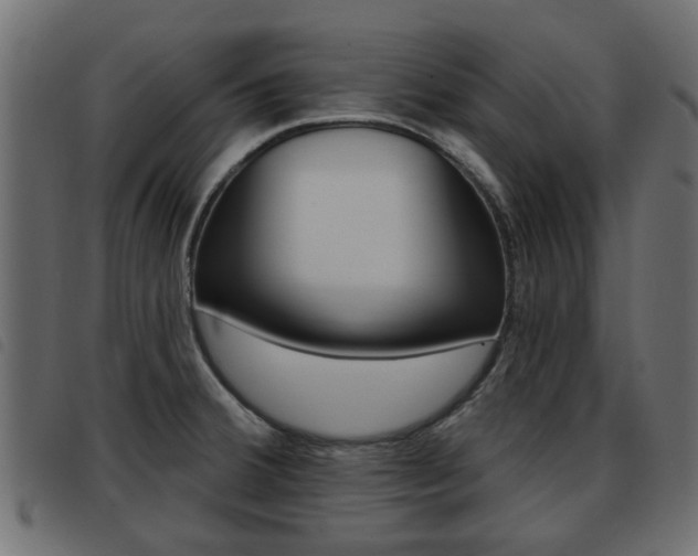 X0000093621380200710151032