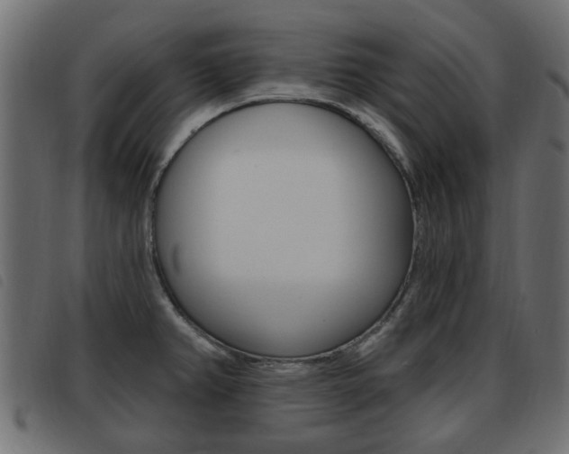 X0000093621382200710151032