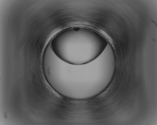 X0000093621384200710151032