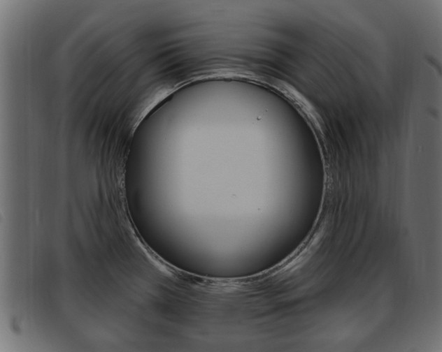 X0000093621385200710151032