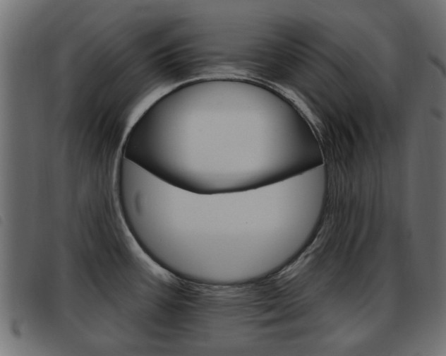 X0000093621387200710151032